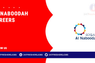 Al Naboodah Careers