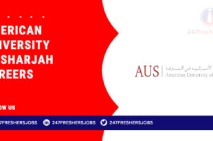 American University Of Sharjah Careers