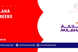 Milaha Careers